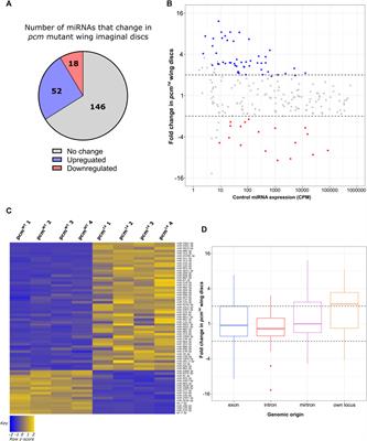 Characterisation of the in-vivo miRNA landscape in Drosophila ribonuclease mutants reveals Pacman-mediated regulation of the highly conserved let-7 cluster during apoptotic processes